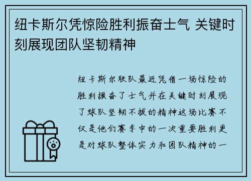 纽卡斯尔凭惊险胜利振奋士气 关键时刻展现团队坚韧精神