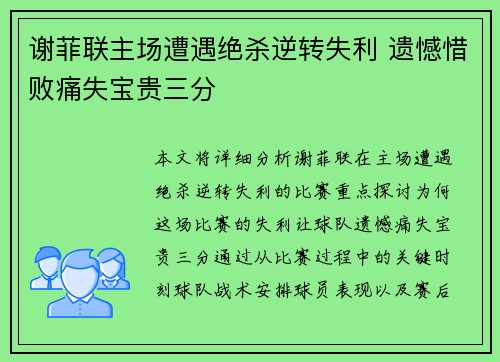 谢菲联主场遭遇绝杀逆转失利 遗憾惜败痛失宝贵三分